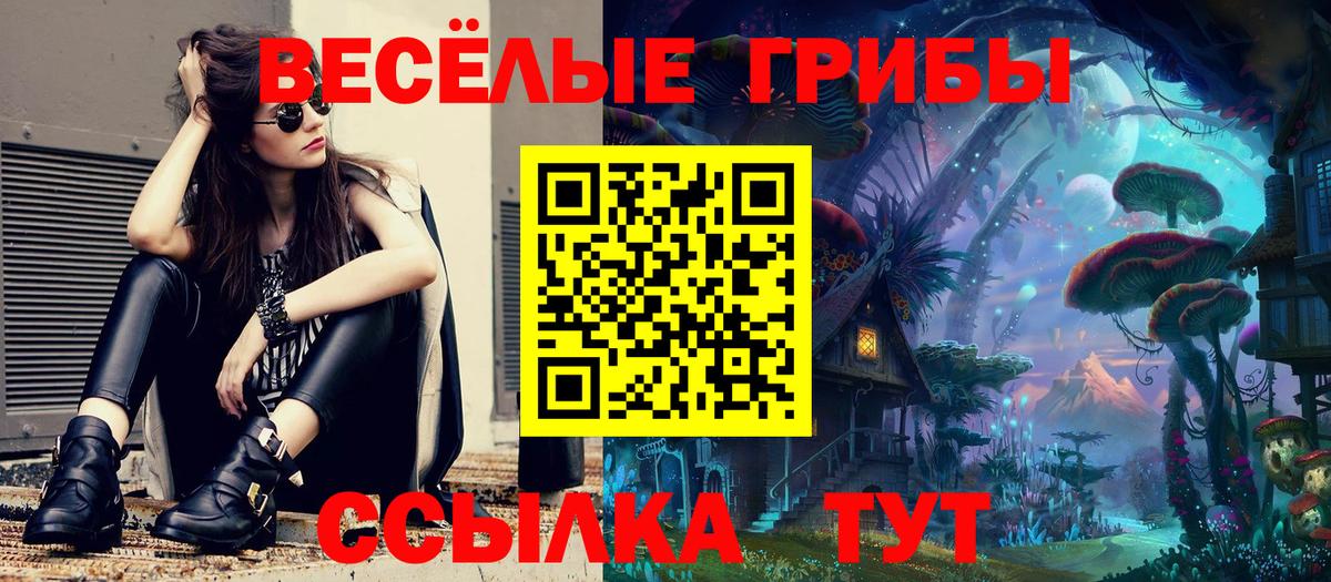 Арсеньев  Галлюциногенные грибы ЛСД  Вход с VPN 