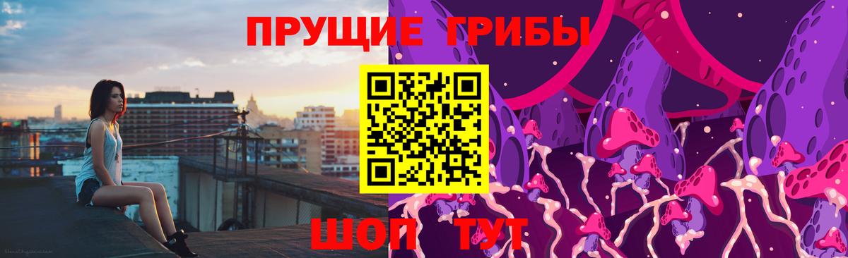 Псилоцибиновые грибы Cubensis Арсеньев